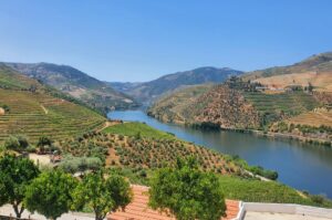 Vale do Douro com Visita a Duas Adegas